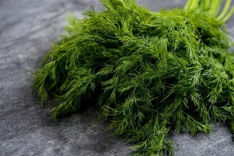 تصویر 3 از خرید تضمینی سبزی شوید خشک با کیفیت صادراتی